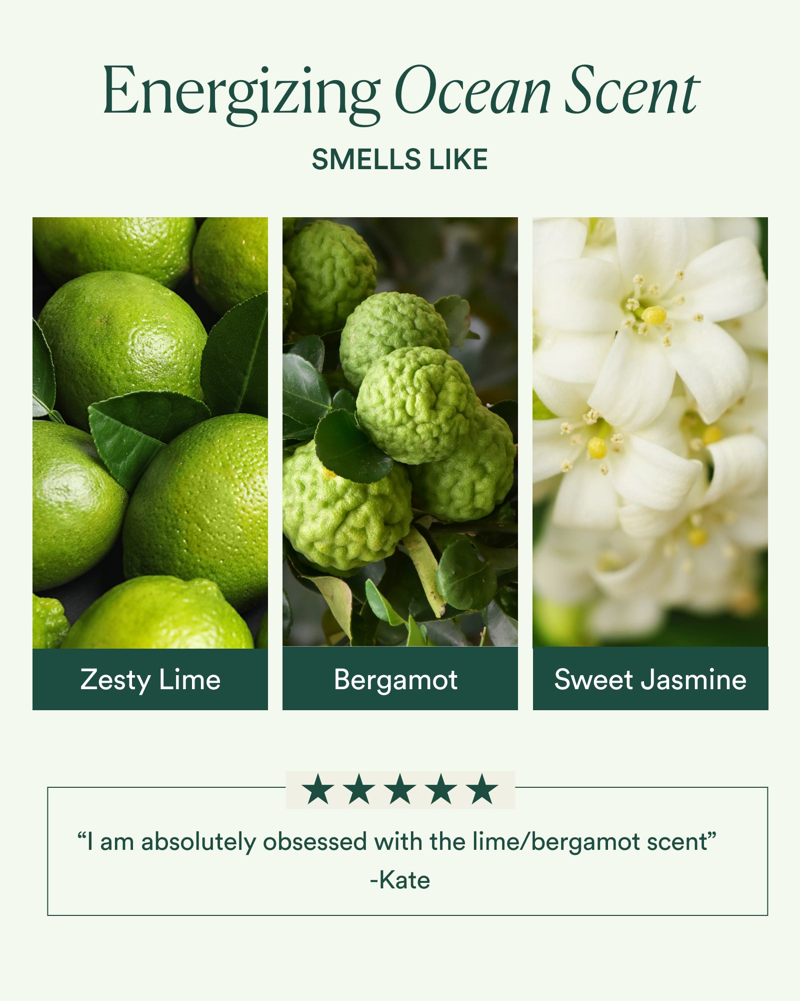 OC_PDP_SCENT_1600x2000_7e9a51b4-ede4-4a8e-919b-6687d8cdea3e.jpg